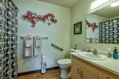 Well-decorated bathroom in senior living facility