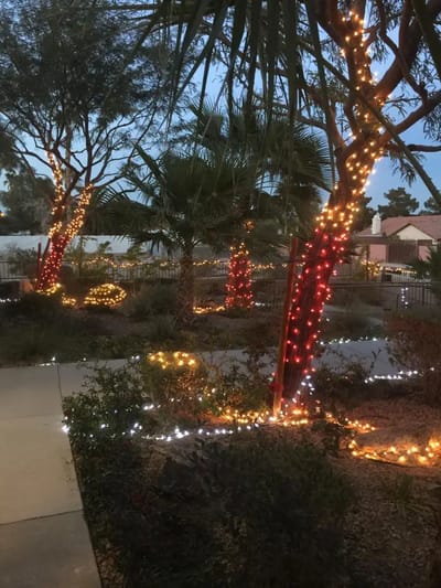 Outdoor garden area with festive lights