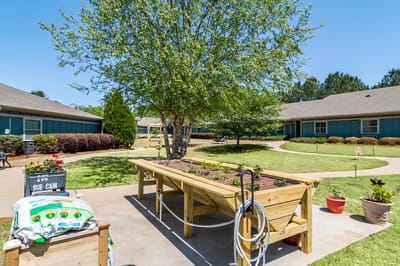 Garden area with raised planters and trees