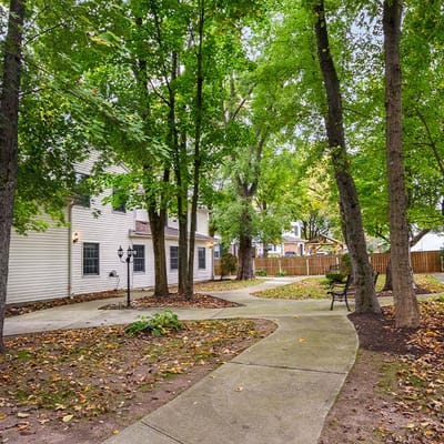 Pathway surrounded by trees in a garden area