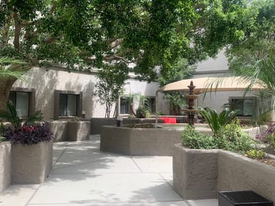 Outdoor courtyard with plants and seating areas
