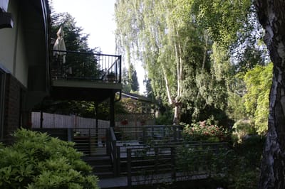 Outdoor space with greenery and seating areas