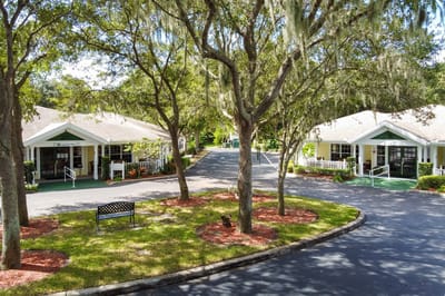 Exterior view of Discovery Commons, surrounded by trees