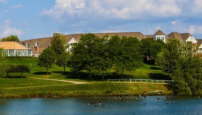 Scenic view of a green landscape with a lake