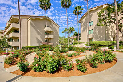 A landscaped courtyard with palm trees and flowers