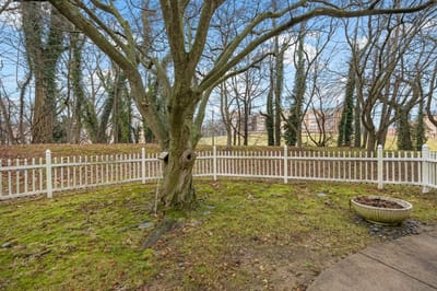 A serene outdoor space with a tree and white fence