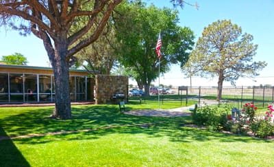 Outdoor garden area with trees and American flag