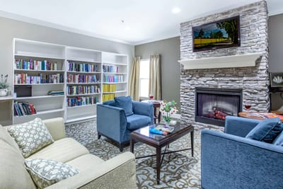 Cozy living room with bookshelves and fireplace