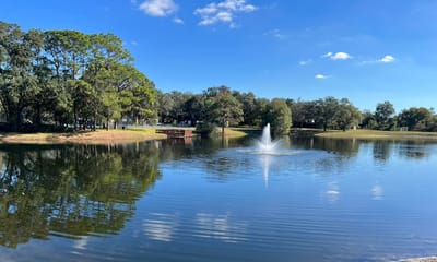 Scenic view of a pond with a fountain and trees