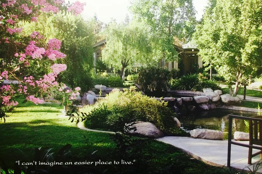 Beautiful garden with pink flowers and pond