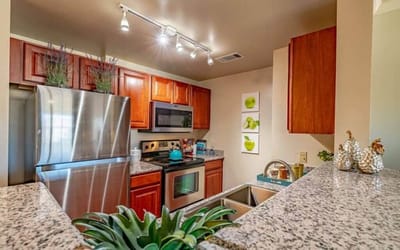 Modern kitchen in a senior living apartment