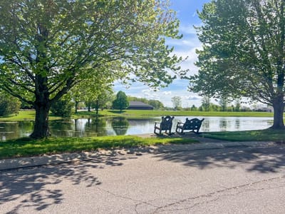 Outdoor seating area by a pond with trees