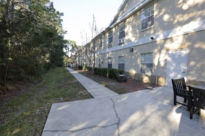 Pathway alongside the building with trees and benches