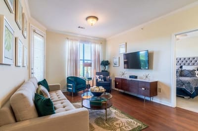 Bright common area with comfortable seating and decor