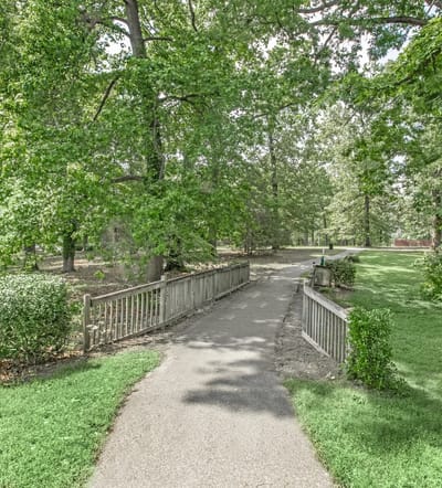Tree-lined walkway in a serene outdoor setting