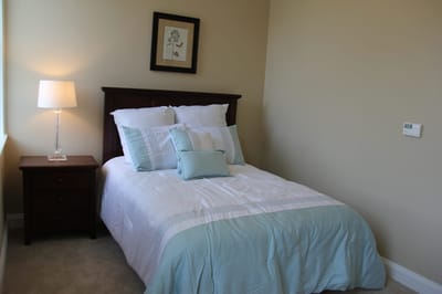 Cozy bedroom with a soft blue theme and natural light