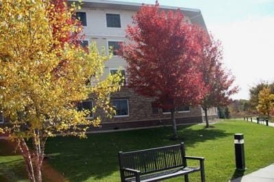 Building exterior with colorful autumn trees and a bench