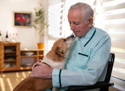 Elderly man with a dog in a cozy room