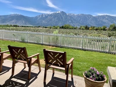 Chairs overlooking a scenic outdoor view