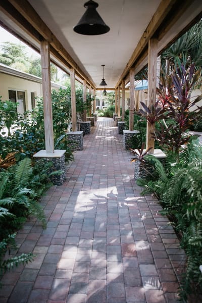 Walking path through a lush garden area