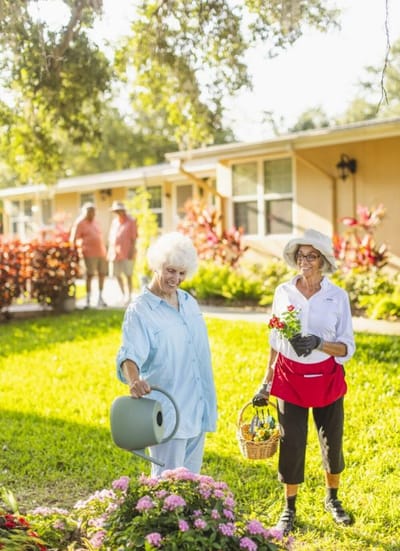 Residents gardening in a sunny outdoor area