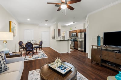 Cozy interior view of a living space