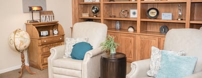 Cozy interior lounge area with armchairs and bookshelf