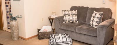 Cozy living room space with a couch and decorative pillows