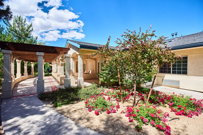 Outdoor space with flowers and a walkway