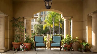 Outdoor seating area with potted plants and palm trees
