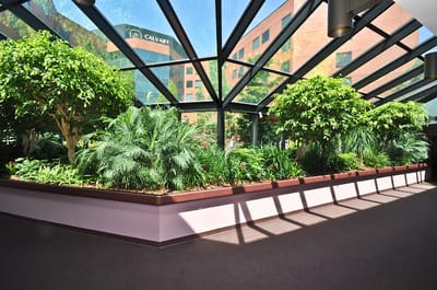 Interior space with greenery and natural light
