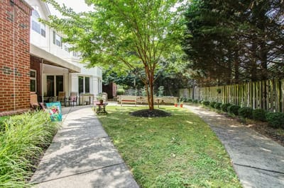 Garden path leading through outdoor space