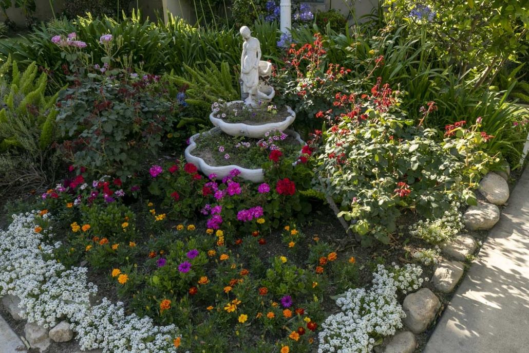 A beautiful garden with colorful flowers and a water feature