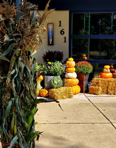 Decorative fall display with pumpkins and plants