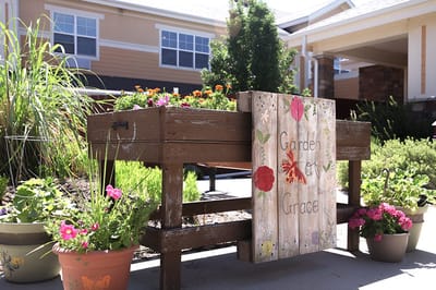 Raised garden bed with colorful flowers