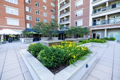 Beautiful garden area with flowers and seating
