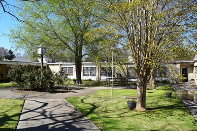 A sunny outdoor garden area with walking paths