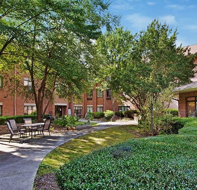 Outdoor garden area with seating and greenery