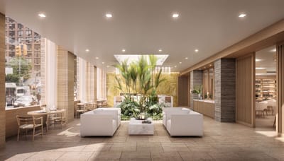 Interior lounge area with plants and seating