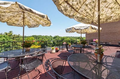 Outdoor terrace with tables and umbrellas overlooking greenery