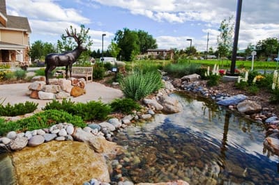 Beautifully landscaped outdoor area with a water feature