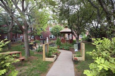 A serene outdoor garden area with a gazebo