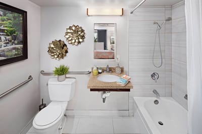 Modern assisted living bathroom with decorative accents