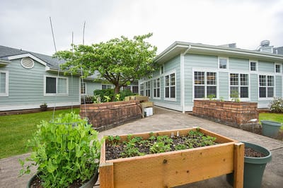 Outdoor garden area with planters and facility building
