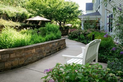 A serene outdoor pathway with benches and greenery