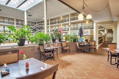 Interior dining area with plants and seating