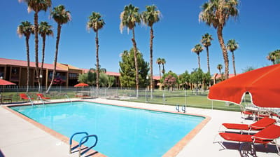 Outdoor pool area with palm trees and seating