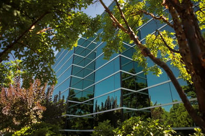 Reflection of trees on a modern glass building