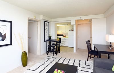 Bright interior view of a studio apartment