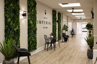 Bright hallway at Legacy at Imperial Village with greenery decor